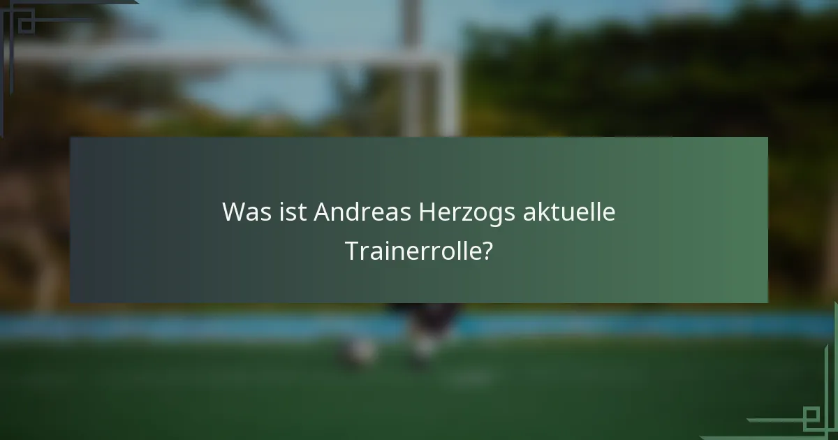 Was ist Andreas Herzogs aktuelle Trainerrolle?